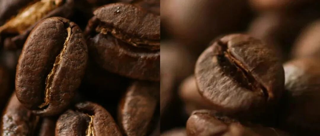 Dạy bạn phân biệt Robusta và Arabica chỉ trong một cái nhìn!