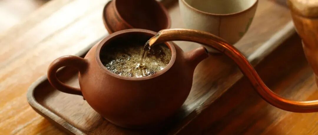Tại sao lá trà có thể pha nhiều lần mà cà phê thì không?