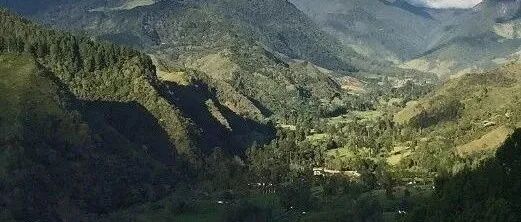 Cà phê Colombia chủ yếu được trồng ở vùng sản xuất nào? Cà phê được sản xuất có đặc điểm gì?