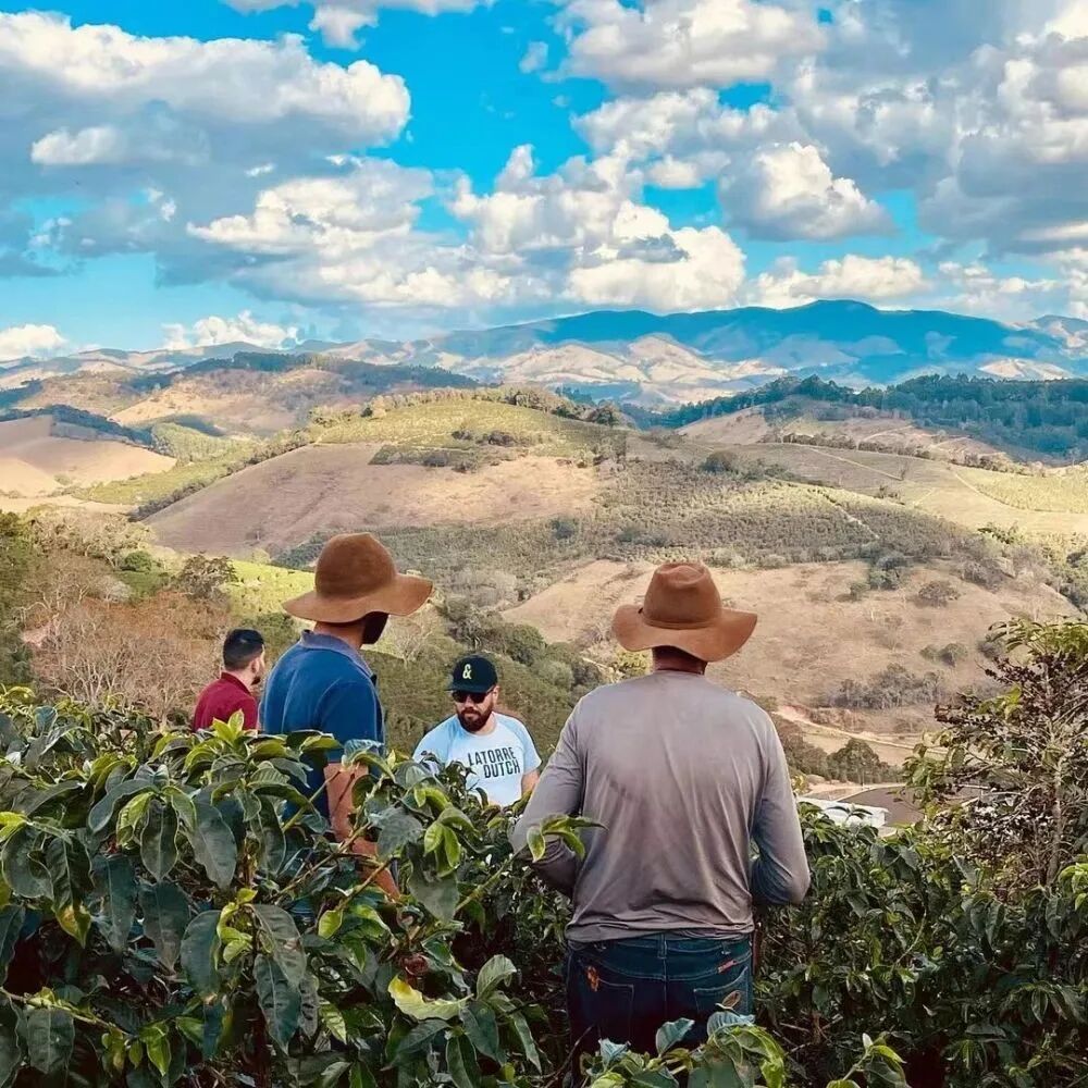 Cà phê 