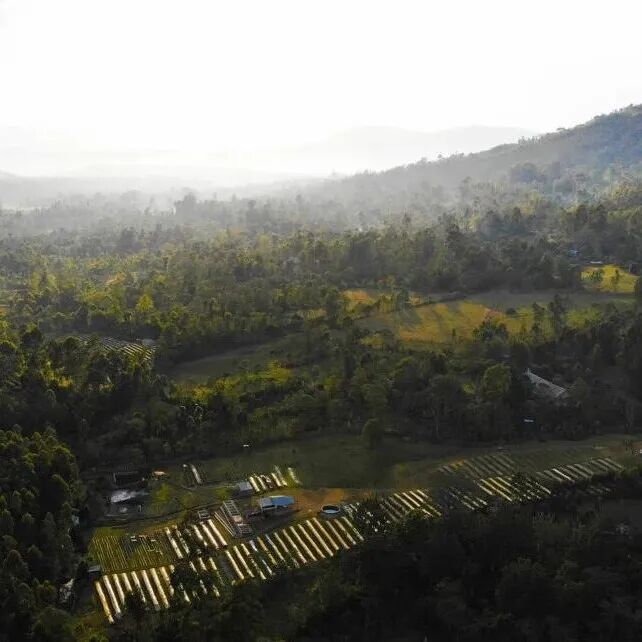 Lô Chaka của trang trại Gesha Village ở Ethiopia là gì?