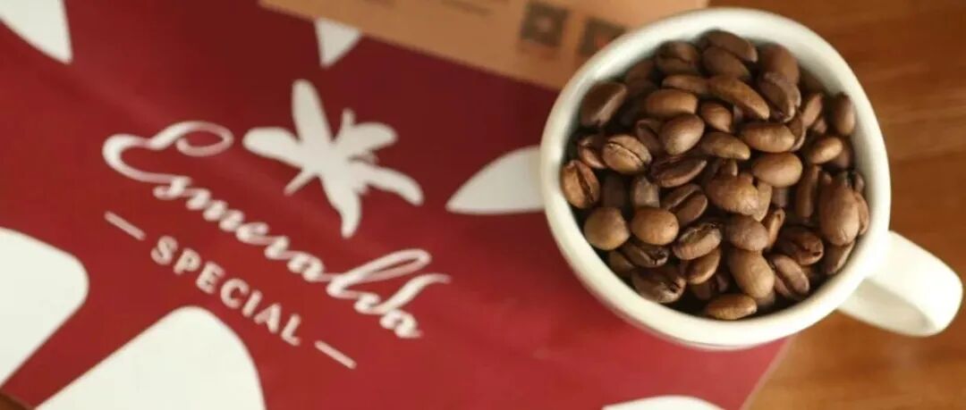 Vì sao Geisha có thể đắt đến vậy?