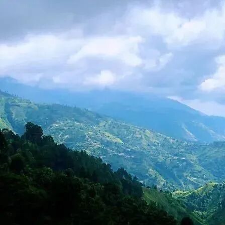 Cùng trồng Typica, cà phê trồng ở Jamaica và Papua có gì khác biệt?