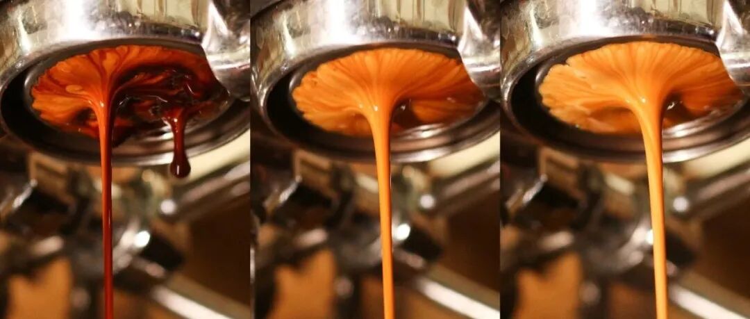 Hiểu rõ ba giai đoạn chiết xuất espresso chỉ trong một bài viết!