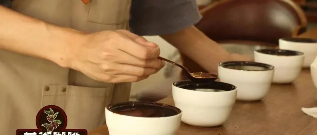 Giải thích toàn bộ quy trình cupping cà phê & những điều cần lưu ý!