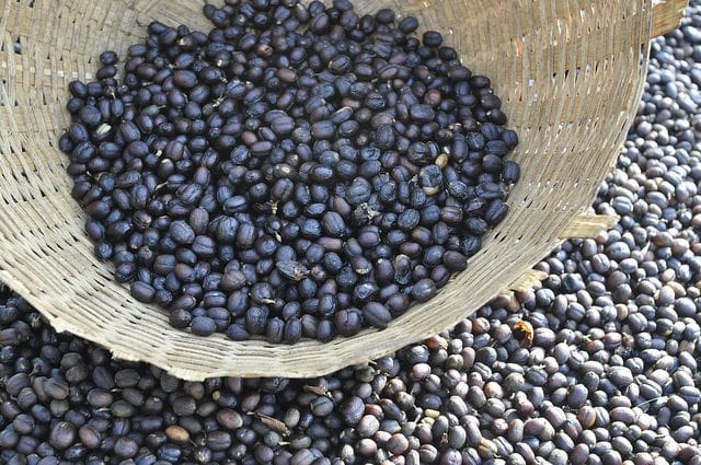 Yirgacheffe chế biến tự nhiên | Ưu nhược điểm của phương pháp chế biến tự nhiên đối với hạt cà phê Yirgacheffe là gì? Đặc điểm hương vị của cà phê Ethiopia chế biến tự nhiên là gì?