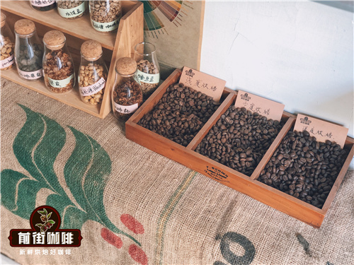 Panama Geisha｜Đặc điểm của Geisha là gì? Vì sao Geisha Panama được ưa chuộng? Hương vị cà phê Geisha từ các vùng trồng khác nhau có gì khác biệt?