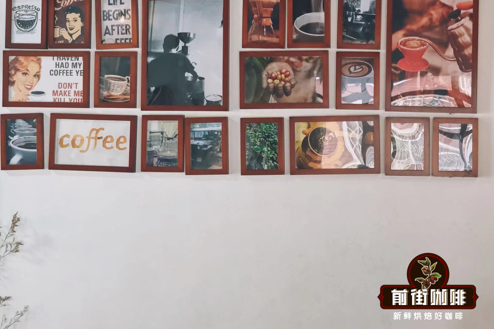 Giới thiệu mười thương hiệu cà phê nổi tiếng thế giới | Người mới học cà phê làm thế nào để chọn loại hạt cà phê rang nguyên chất phù hợp với mình? Làm thế nào để đánh giá độ tươi của hạt cà phê?