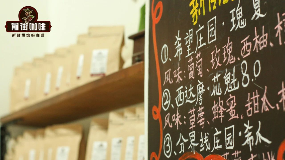 Gợi ý hạt cà phê cho gia đình dùng tại nhà | Dùng hạt cà phê xay tay hay bột cà phê? Có thể dùng túi cà phê nhỏ giọt để pha cà phê đen bằng phương pháp pour over không?