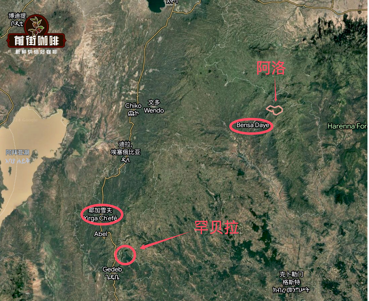 Cà phê hạt Alo làng Sidamo | Giới thiệu đặc điểm hương vị cà phê hạt làng Alo vùng Bensa Sidamo Ethiopia
