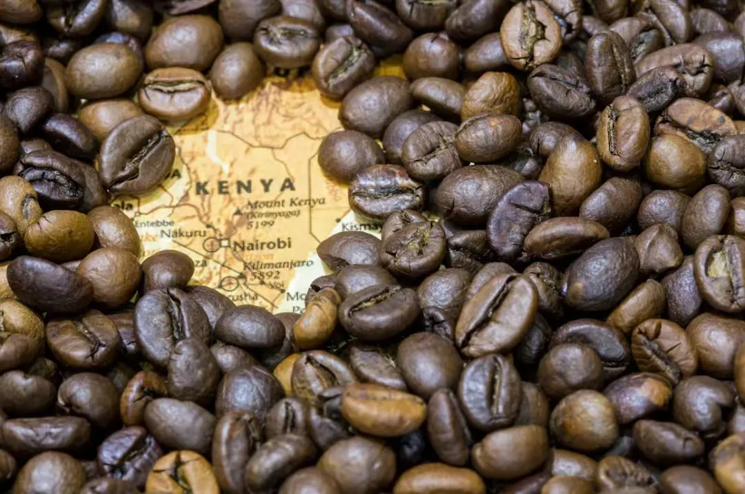 Tên hạt cà phê và ý nghĩa｜Cách đặt tên cho cà phê nhân? Yirgacheffe, Bourbon, Geisha, Mandheling là cà phê từ những vùng sản xuất nào?