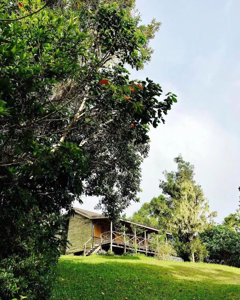Hình minh họa
