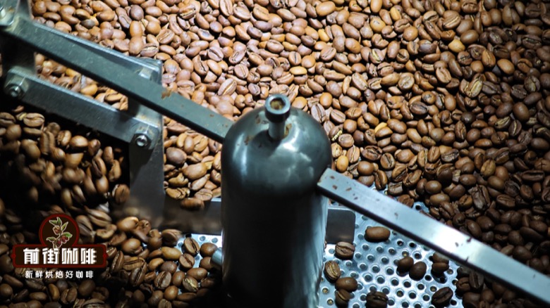Gợi ý hạt cà phê hương hạt dẻ cacao: Từ định hướng hương vị đến cách chọn phương pháp pha