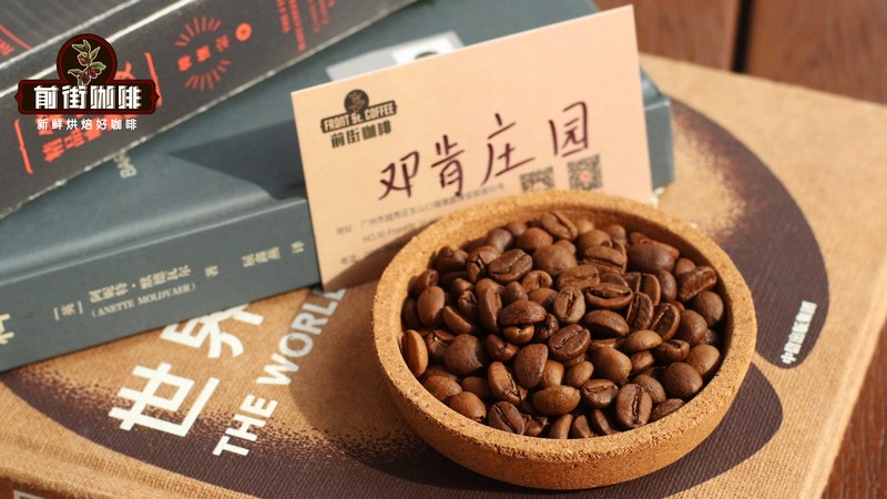 Gợi ý cà phê hạt rang xay nguyên chất pha pour-over có vị chua và đắng dịu nhẹ: Bắt đầu từ sở thích hương vị
