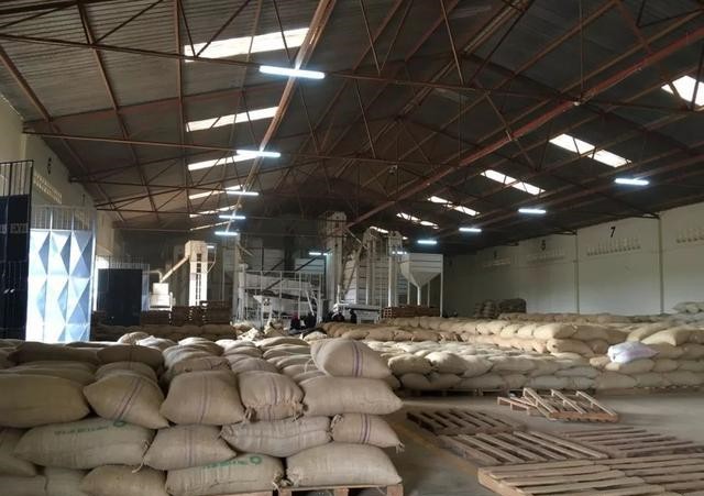 Gợi ý hạt blend Ý phù hợp cho gia đình: bắt đầu từ sở thích hương vị