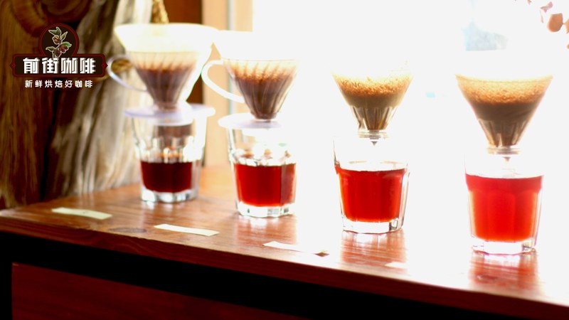 Tuyển chọn và gợi ý hạt cà phê espresso dùng hàng ngày: Bắt đầu từ sở thích hương vị