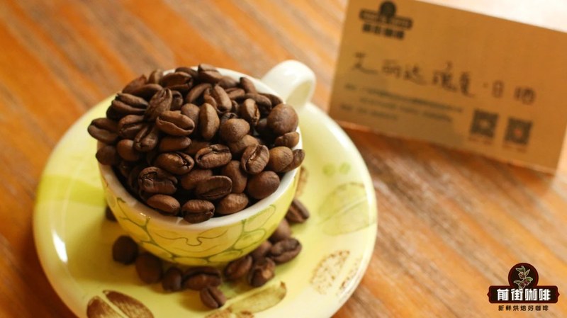 Chọn hạt rang medium cho pour-over theo tình huống thưởng thức: ba hương vị và cách uống