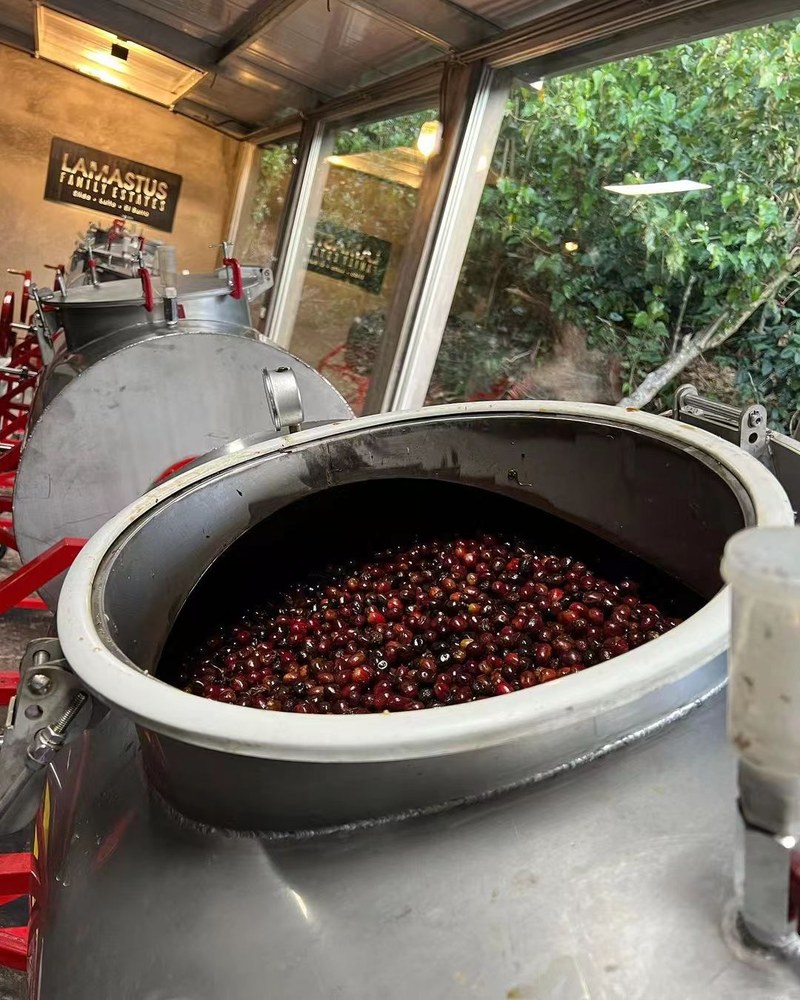 Cách chọn hạt cà phê espresso SOE: Hướng dẫn theo tình huống từ cà phê đen đến cà phê sữa