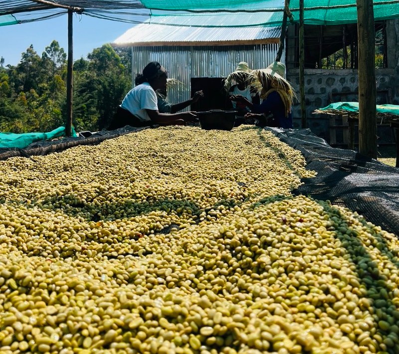 SOE phù hợp để làm đồ uống gì? Chọn hương vị phù hợp với mình theo từng tình huống