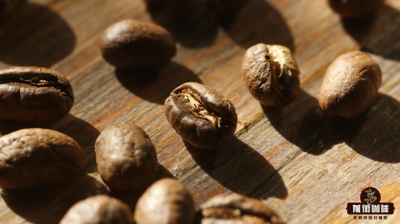 Cách chọn hạt cho cold brew và drip đá: Hướng dẫn cho tình huống đi làm, tụ tập và thưởng thức chậm
