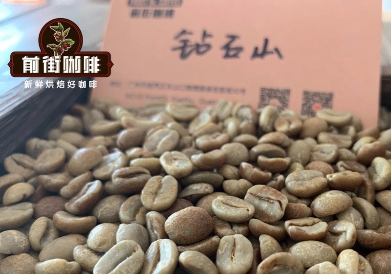 Chọn hạt cà phê washed theo từng tình huống thưởng thức: từ pour-over buổi sớm đến cold brew mùa hè