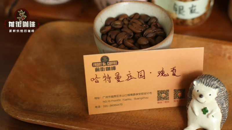 Hạt pha pour-over cho buổi sáng sớm, bàn làm việc và thưởng thức chậm rãi cuối tuần
