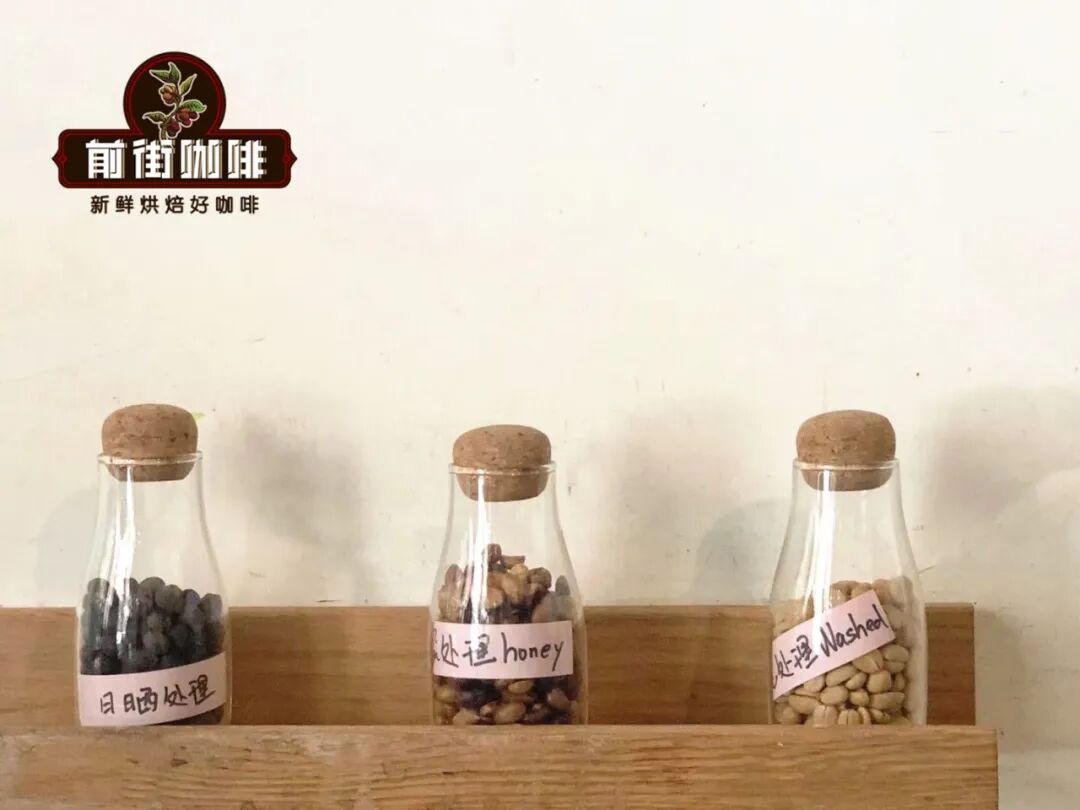 Tại sao cà phê washed chua hơn? Pha thế nào để ngọt?