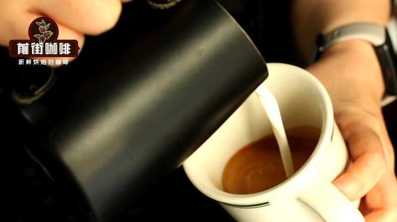 Từ hương hoa cao nguyên đến hương êm dịu rừng mưa: Bản đồ phong thổ pour-over năm vùng