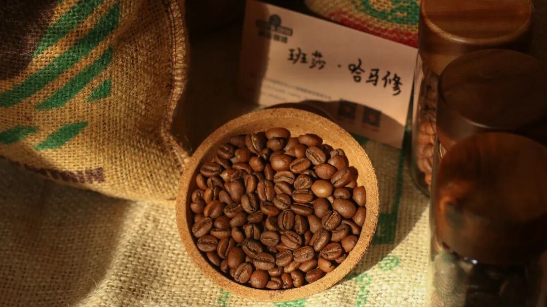 Sidamo Bensa · Nhà máy chế biến Hamasho phơi nắng 74158