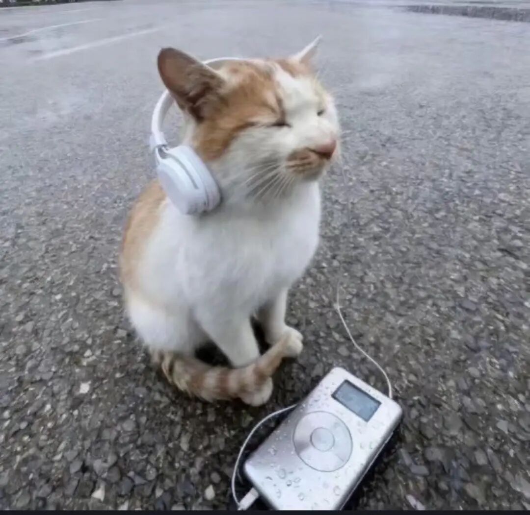 Khi nào cần sàng bỏ bột cà phê mịn?