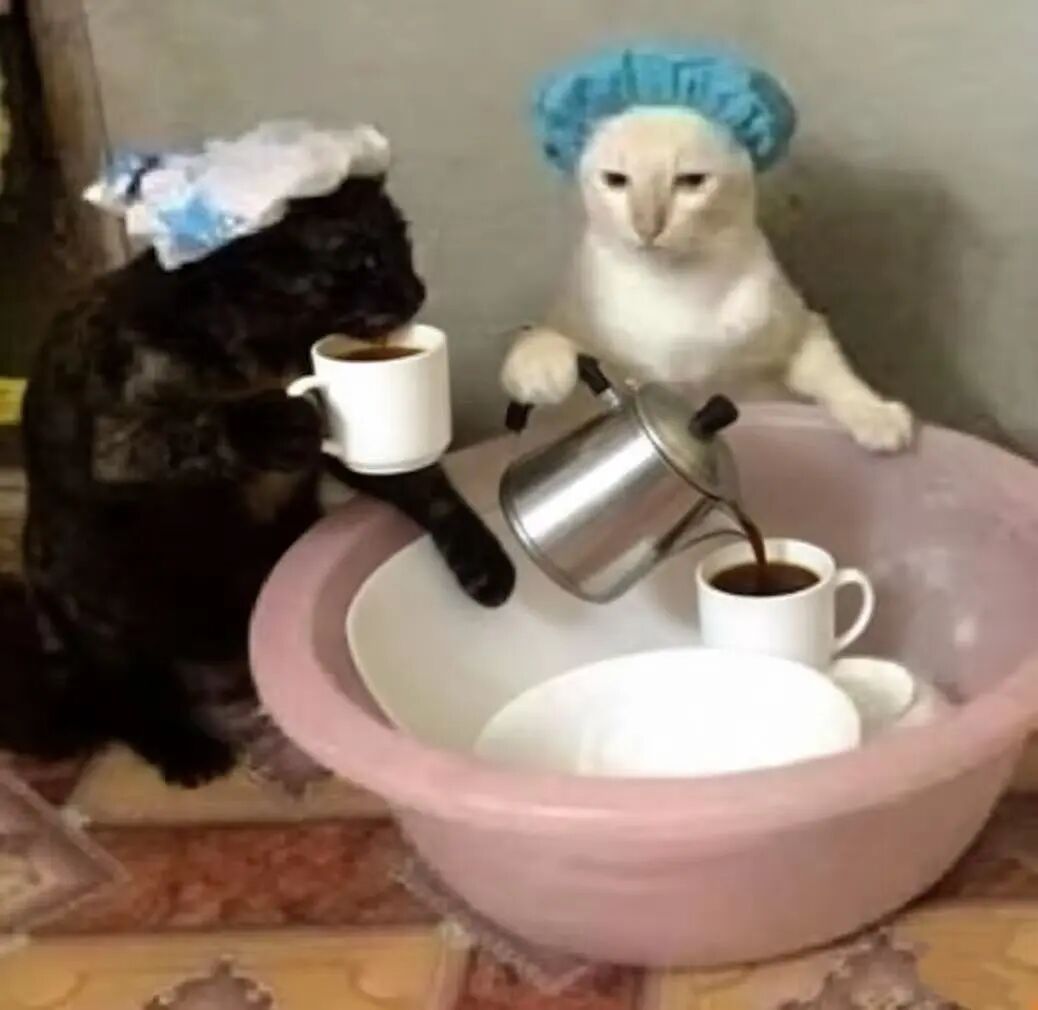 Tại sao luôn có người nói cà phê uống có vị 