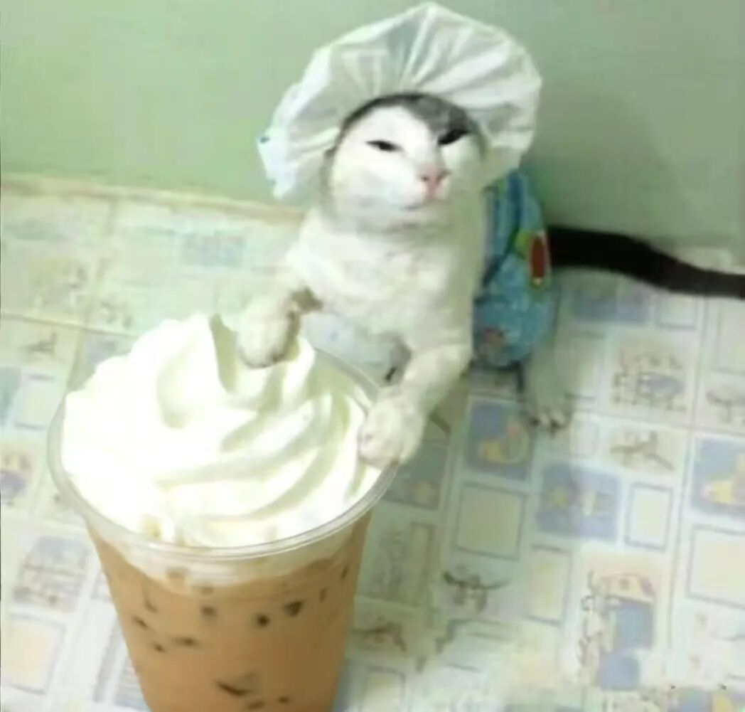 Cold Brew Vienna pha như thế này, sẽ cho bạn biết thế nào là đỉnh cao của giới cà phê!