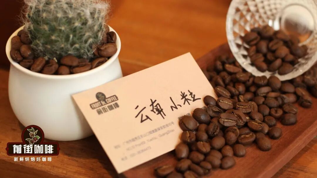 Cà phê hạt thương mại, cà phê hạt dùng tại nhà và cà phê hạt dùng cho thi đấu có gì khác nhau?