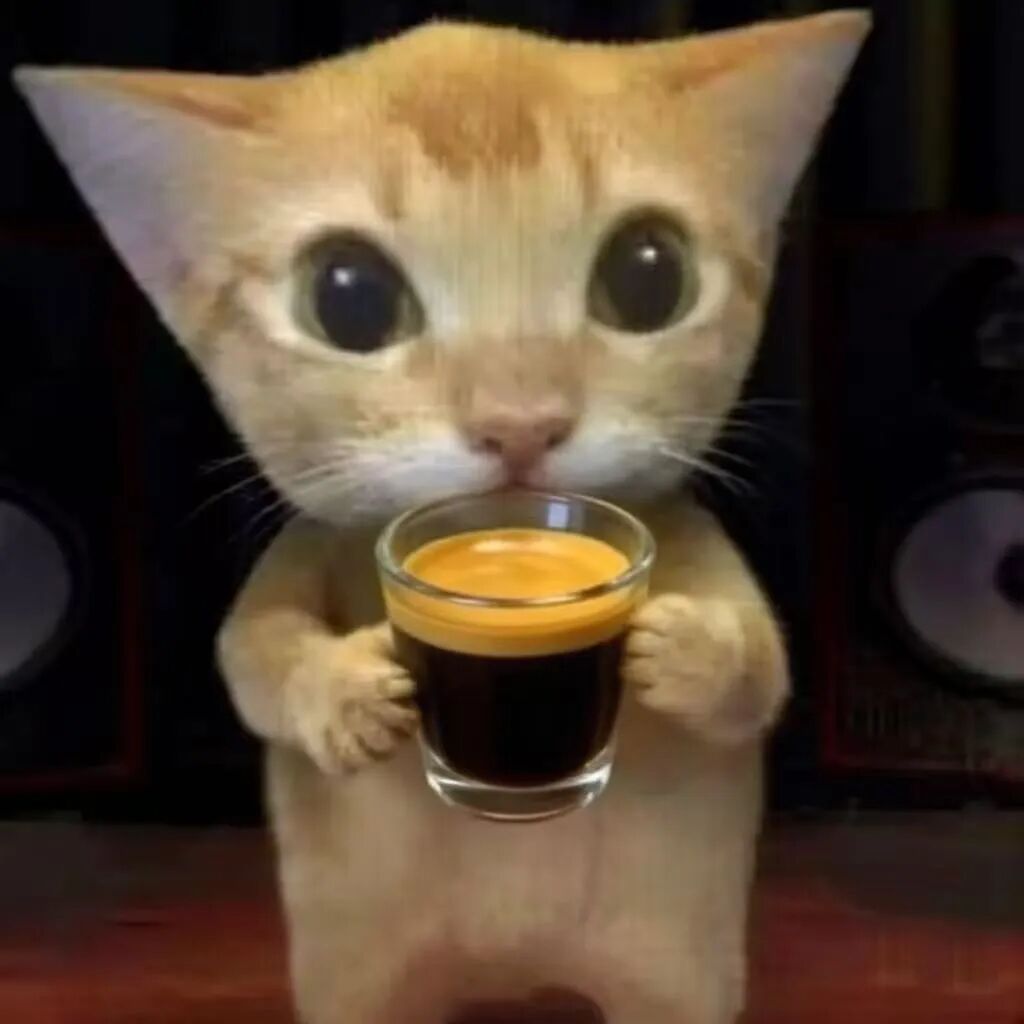 Tại sao quán cà phê cứ vài giờ lại phải chỉnh lại espresso?
