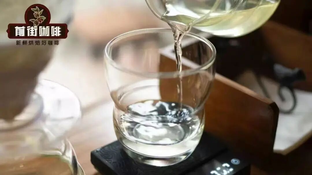 Tại sao các món cà phê pha chế đặc biệt ở quán cà phê thường sử dụng loại sữa trong suốt này?