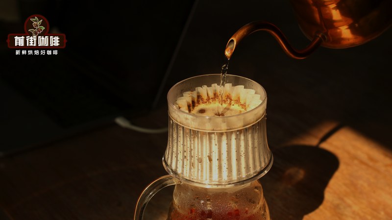 Bản đồ hương vị theo vùng trồng của bình Moka: từ hương trái cây đến vị đậm đà thảo mộc