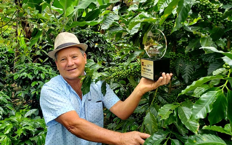 Bản đồ hương vị cà phê rang tươi: Từ hương hoa quả đến vị đậm đà