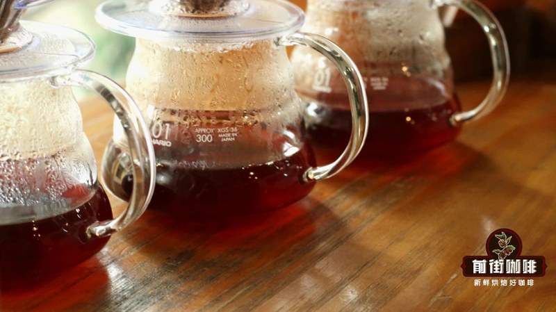 Núi cao, rừng mưa và đất núi lửa: Cách chọn hạt cà phê đậm đà
