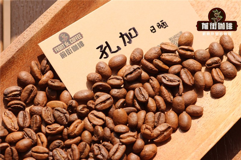 Tọa độ vùng trồng của một ly Yirgacheffe: Cách chọn hạt rang medium-light