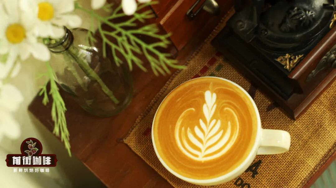 Đánh giá sữa tươi! Sự khác biệt giữa các loại cà phê làm từ sữa tươi khác nhau lớn đến mức nào?