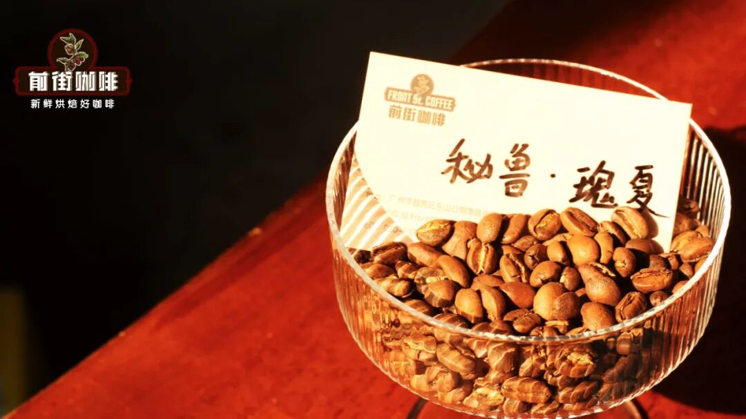 Giới thiệu vùng trồng cà phê Peru: Hương vị Geisha Peru như thế nào?