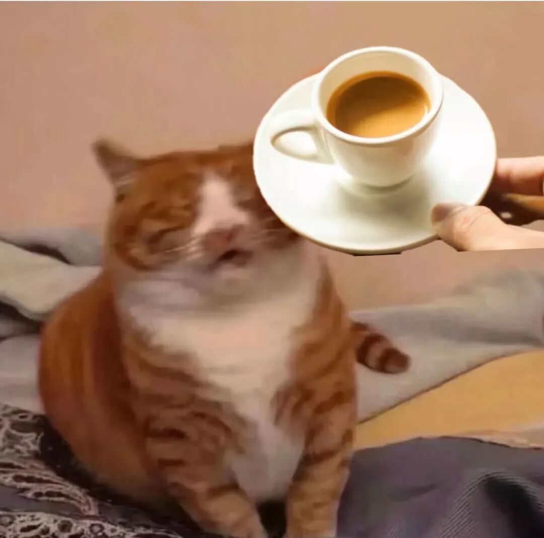 Tại sao quán cà phê nào cũng phải điều chỉnh espresso mỗi sáng?