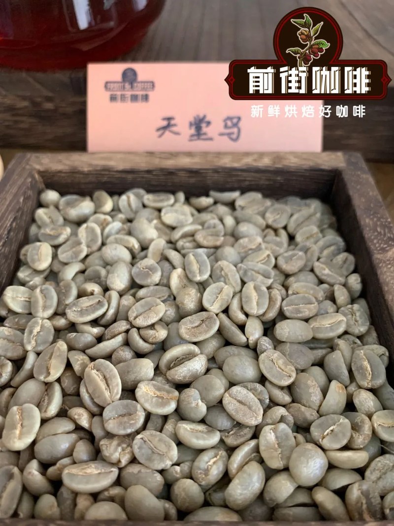 Khám phá mật mã phong thổ các châu lục: Pha thủ công làm thế nào để khóa chặt vị chua nhẹ dịu và vị ngọt đậm đà