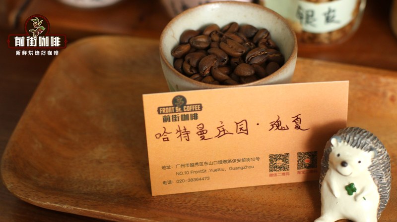 Dấu ấn hương thơm mà phong thổ các châu lục ban tặng cho espresso: chọn hạt cà phê ưng ý từ việc nhận diện hương vị địa lý